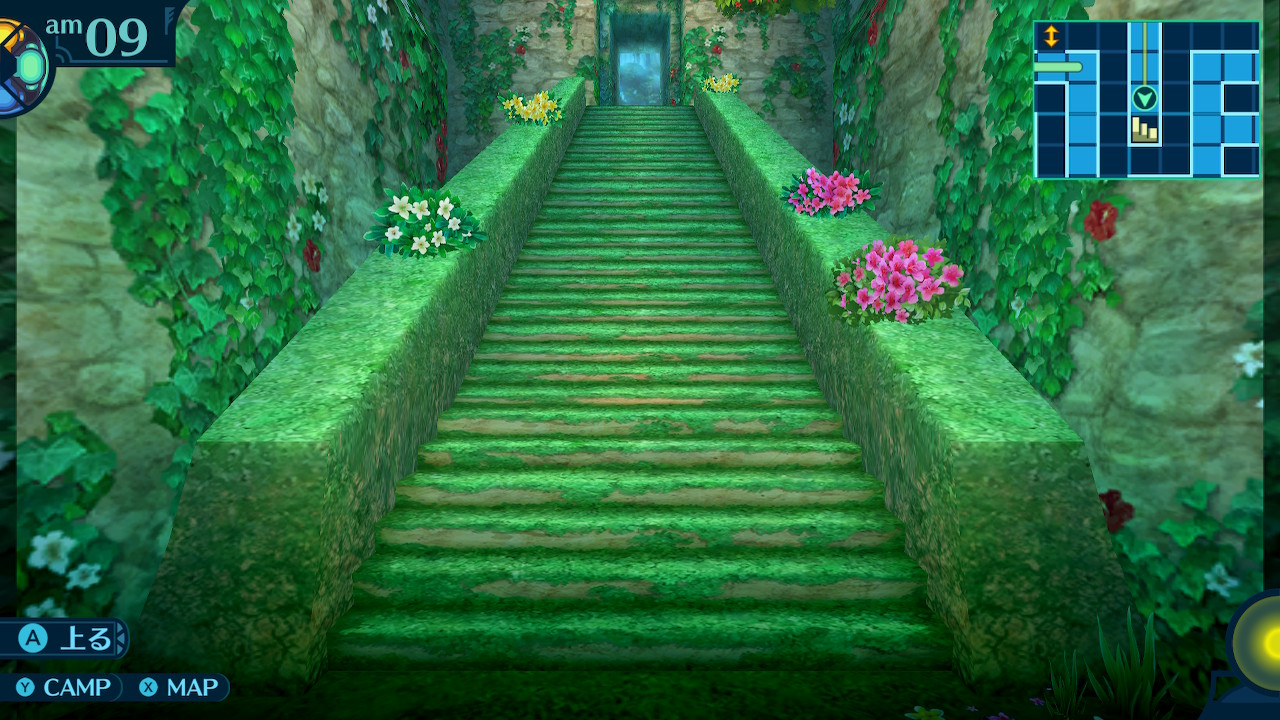 アモロ